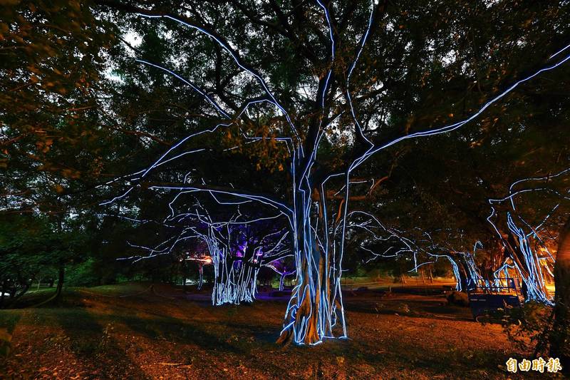 衛武營「生命線」，藝術團隊以微光的概念，將光延神智樹木上的每個角落，美麗帶點神秘的自然輪廓，在夜間呈現植物生命流動的能量與訊息。（記者李惠洲攝）