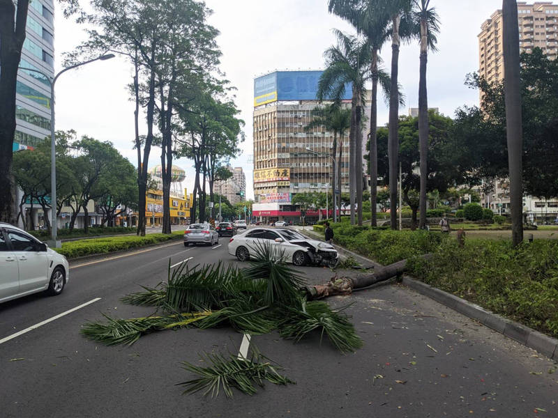 賓士車自撞安全島路樹倒車毀，警緊急疏導排除壅塞車流。（民眾提供）
